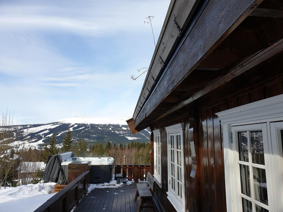 Reveenka - In With Jacuzzi For Rent Trysil