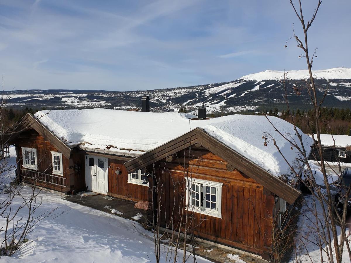 Holiday home Reveenka - In With Jacuzzi For Rent Trysil